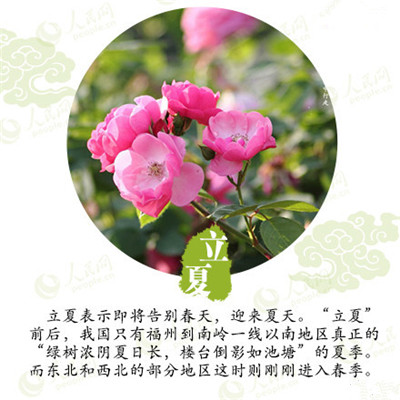 立夏來臨,液化氣儲罐廠家為你分享立夏如何養(yǎng)生